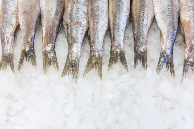 Fullres Den Dulk 0092